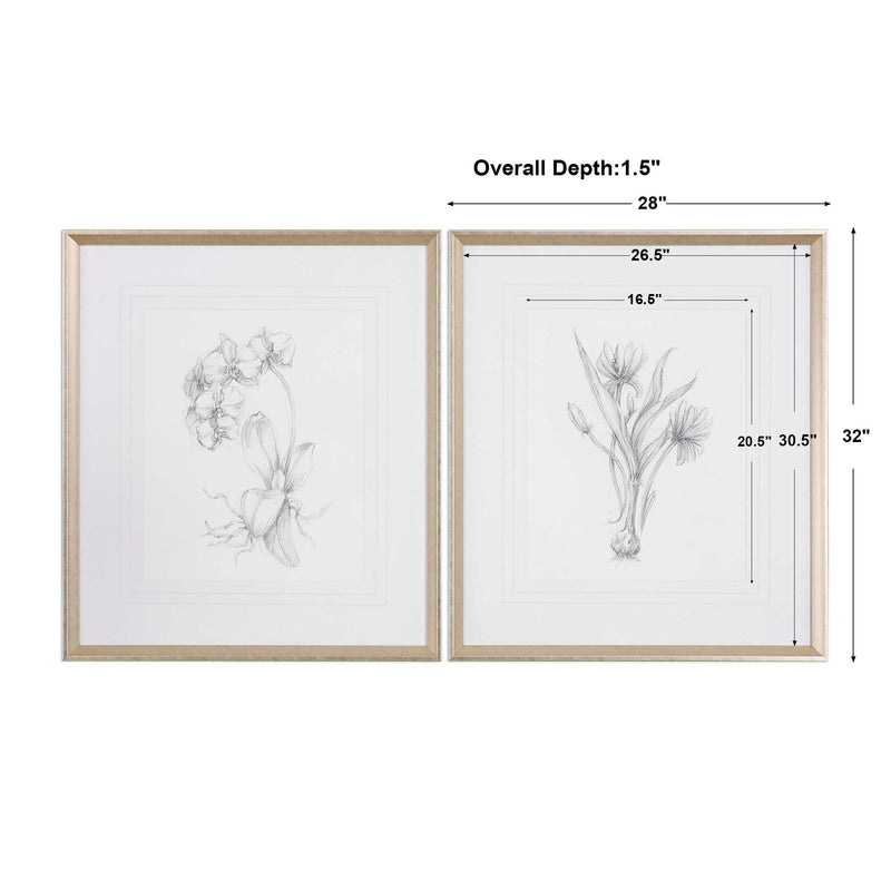 Uttermost Botanical Sketches Framed Prints S/2