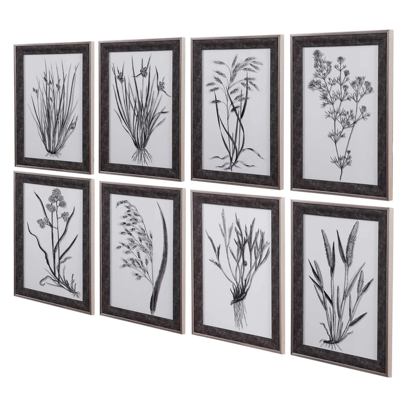 Uttermost Classic Botany Framed Prints, Set/8