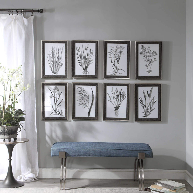 Uttermost Classic Botany Framed Prints, Set/8