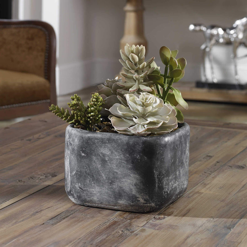 Uttermost Alverio Desert Garden Succulents